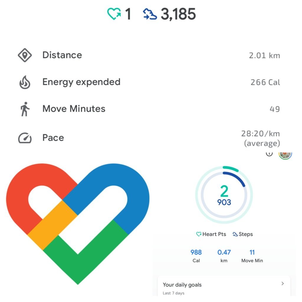 Google Fit App